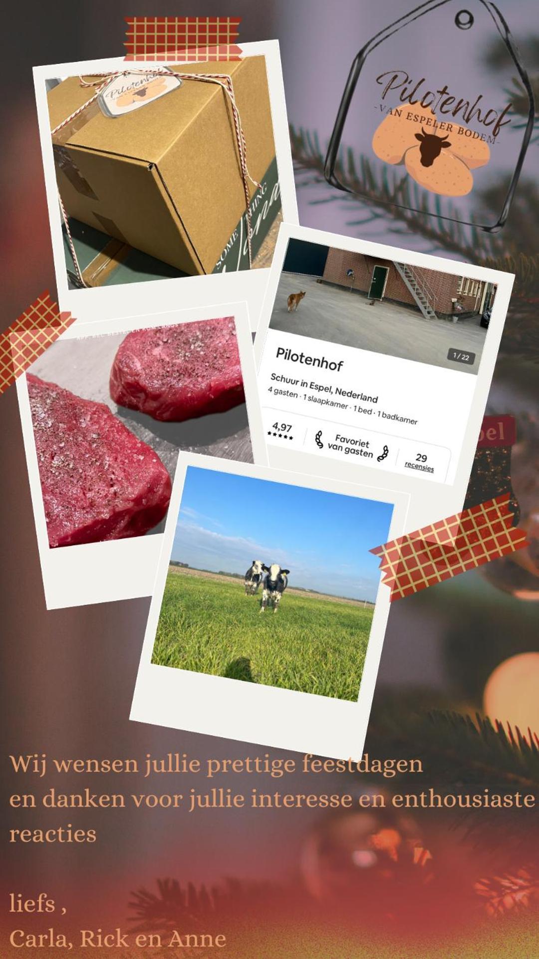 Pilotenhof - Hooizolder Farm stay Espel